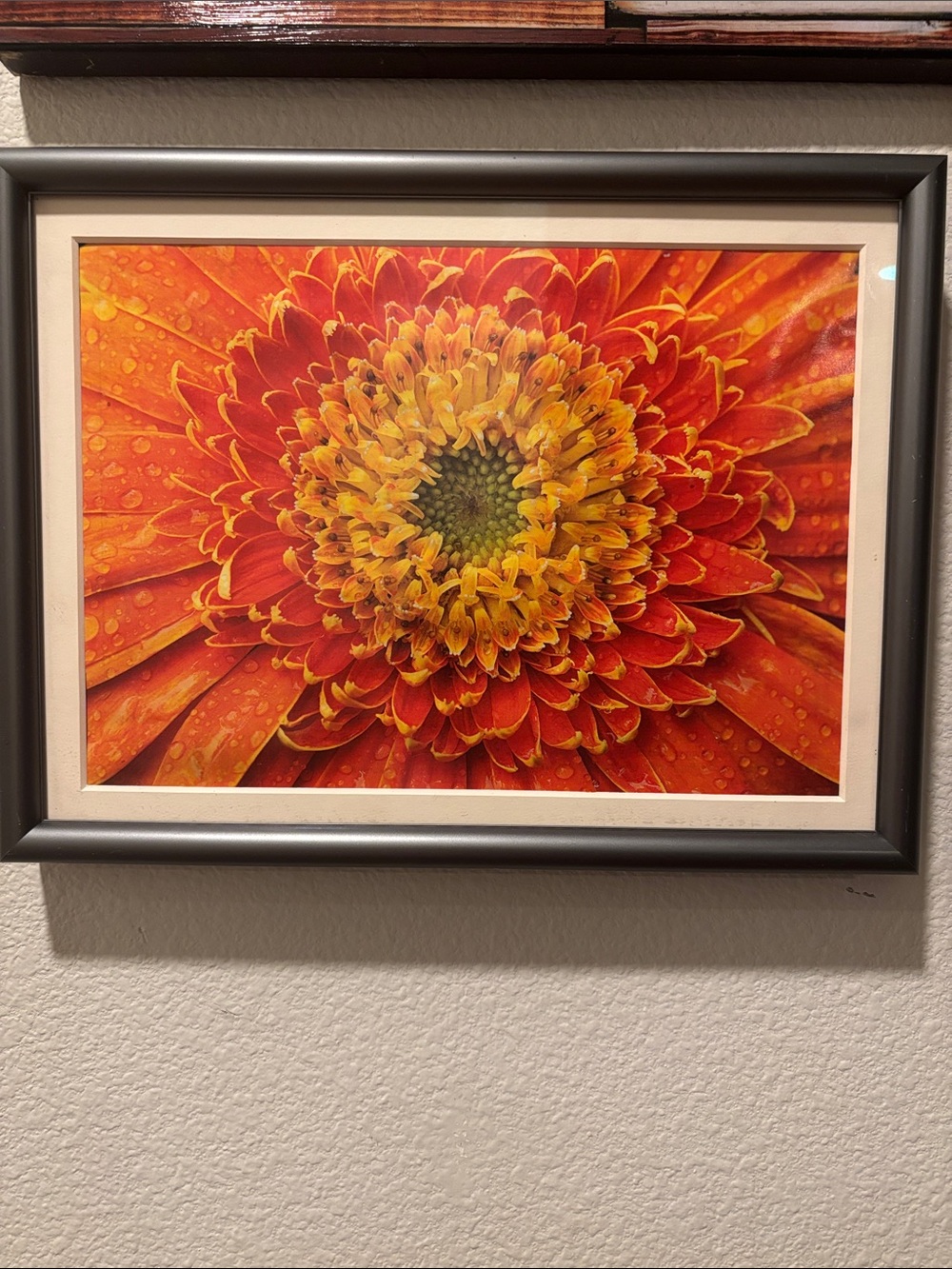 Vibrant Orange & Yellow Floral Wall Art Print